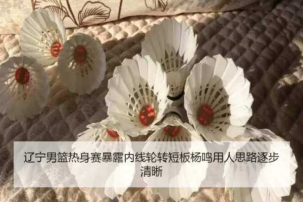 辽宁男篮热身赛暴露内线轮转短板杨鸣用人思路逐步清晰 - MKSports